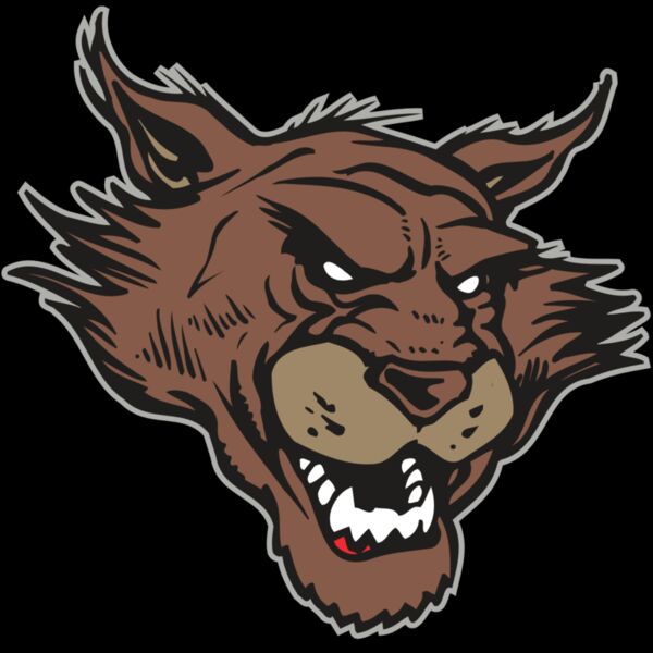 AR WILDCAT 11 RC Thumbnail