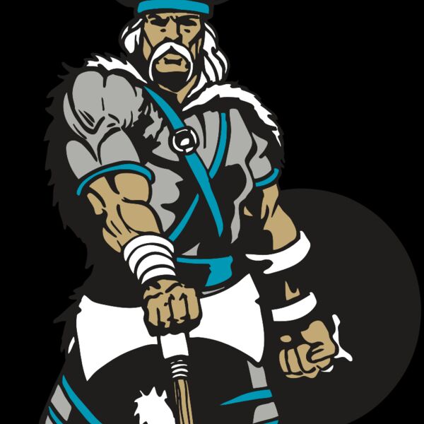 AR VIKING 41 RC Thumbnail