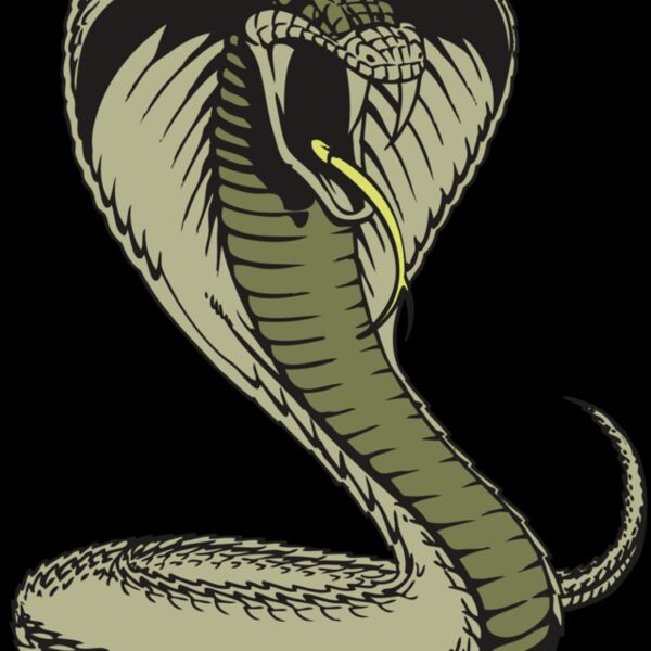 BAW SNAKE 07 RC Thumbnail