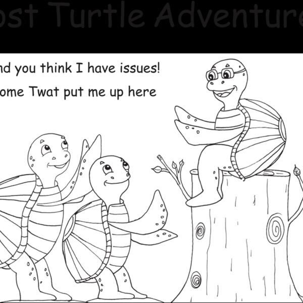 Post Turtle Adventures   November Thumbnail
